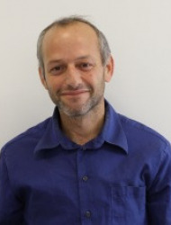 חנוך וולפה