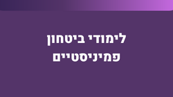 לימודי ביטחון פמיניסטיים