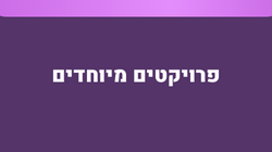 פרויקטים מיוחדים